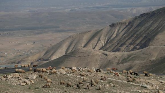 La vallée du Jourdain près de Jéricho, en Cisjordanie, où Israël a annoncé son intention d'annexer 150 hectares de terres agricoles, le 20 janvier 2016.