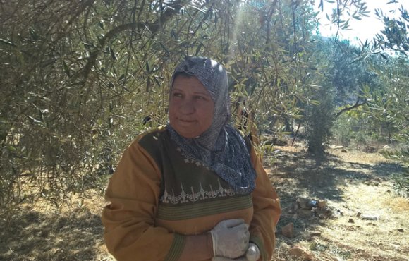 Nadia Manasra se tient dans son oliveraie, dans le village de Wadi Fuqin, le 10 novembre 2017 (MEE/Chloé Benoist)