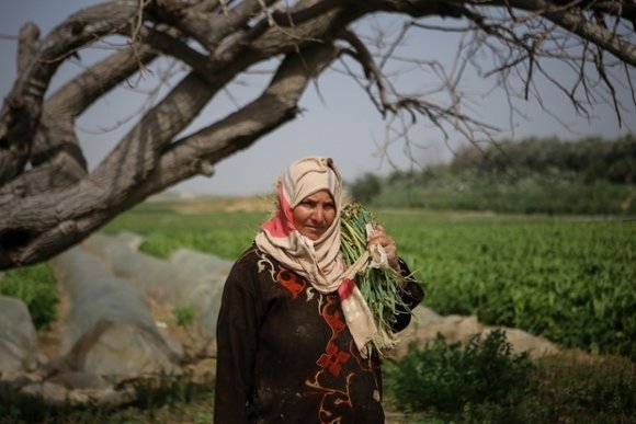 Samiha Ghaben et sa sœur Suad emploient huit femmes dans leur ferme (MEE/Mohamed al-Hajjar)